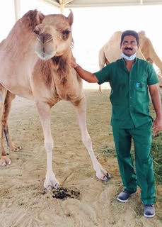 Reproductive Health Management