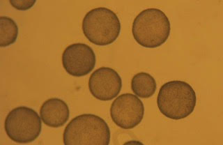 Scientific laboratory setting